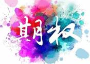 如何辨别属于美式期权的商品期权种类？这种辨别对投资