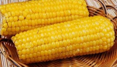 如何计算玉米期权合约的交易？交易计算对投资有何影响