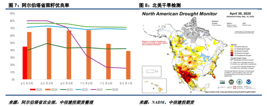 【菜系周报】题材此起彼伏，交易重心在于边际变量
