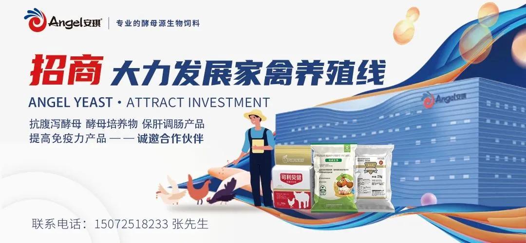 新希望发布告知函：所售商品猪只开屠宰票，不得流入二