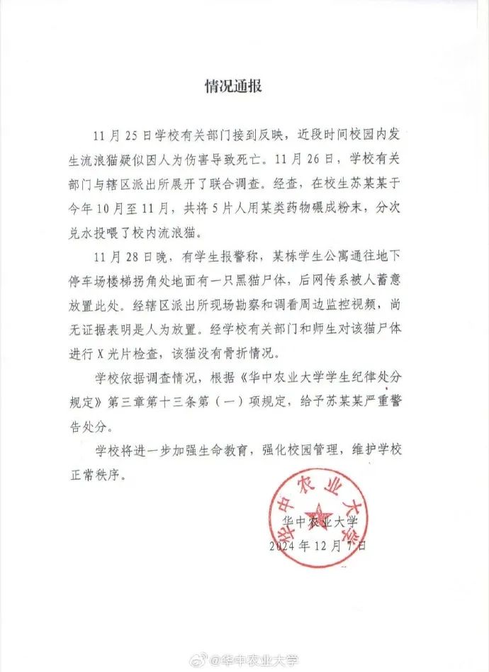 桂林一事业单位招录考察人选曾虐猫？单位回应正在政审阶段
