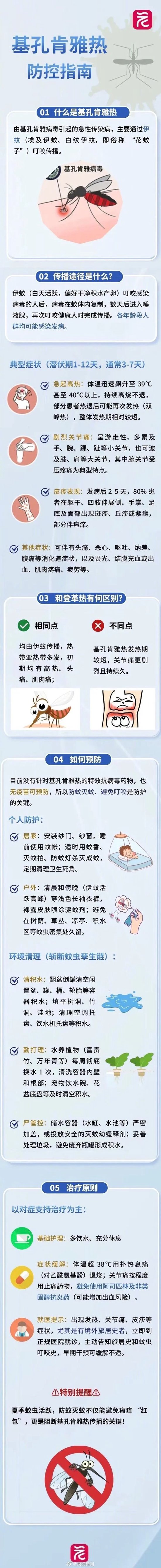 世卫专家警报基孔肯雅热！中疾控：没有人传人迹象，有