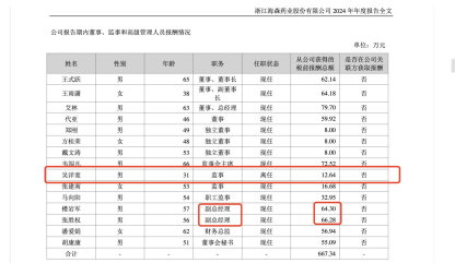 海森药业吴洋宽升任副总经理，24年薪酬仅为13万，近一